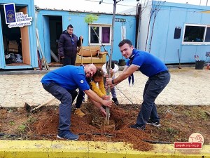 2018-12-09-6o-alikarnassou-dentrofytefsi